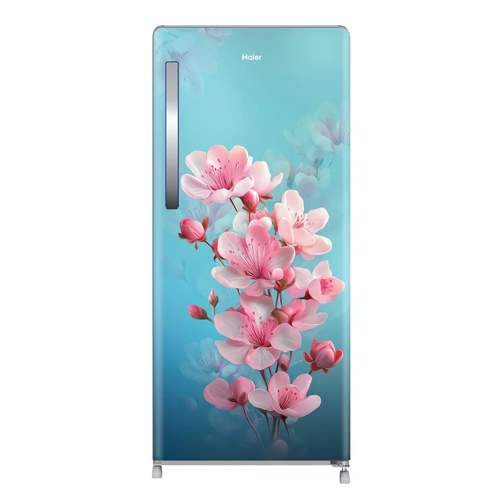 Haier 190 L Direct Cool Single Door Refrigerator 2 Star